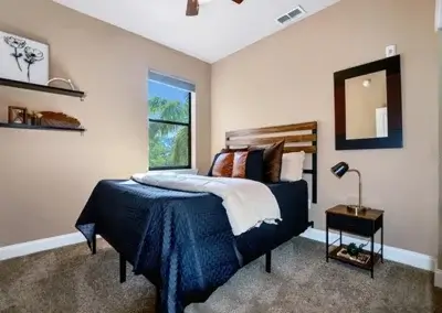 Lime Door Décor Tampa - Central Avenue Home Staging